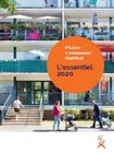 publication Rapport d'activités 2020